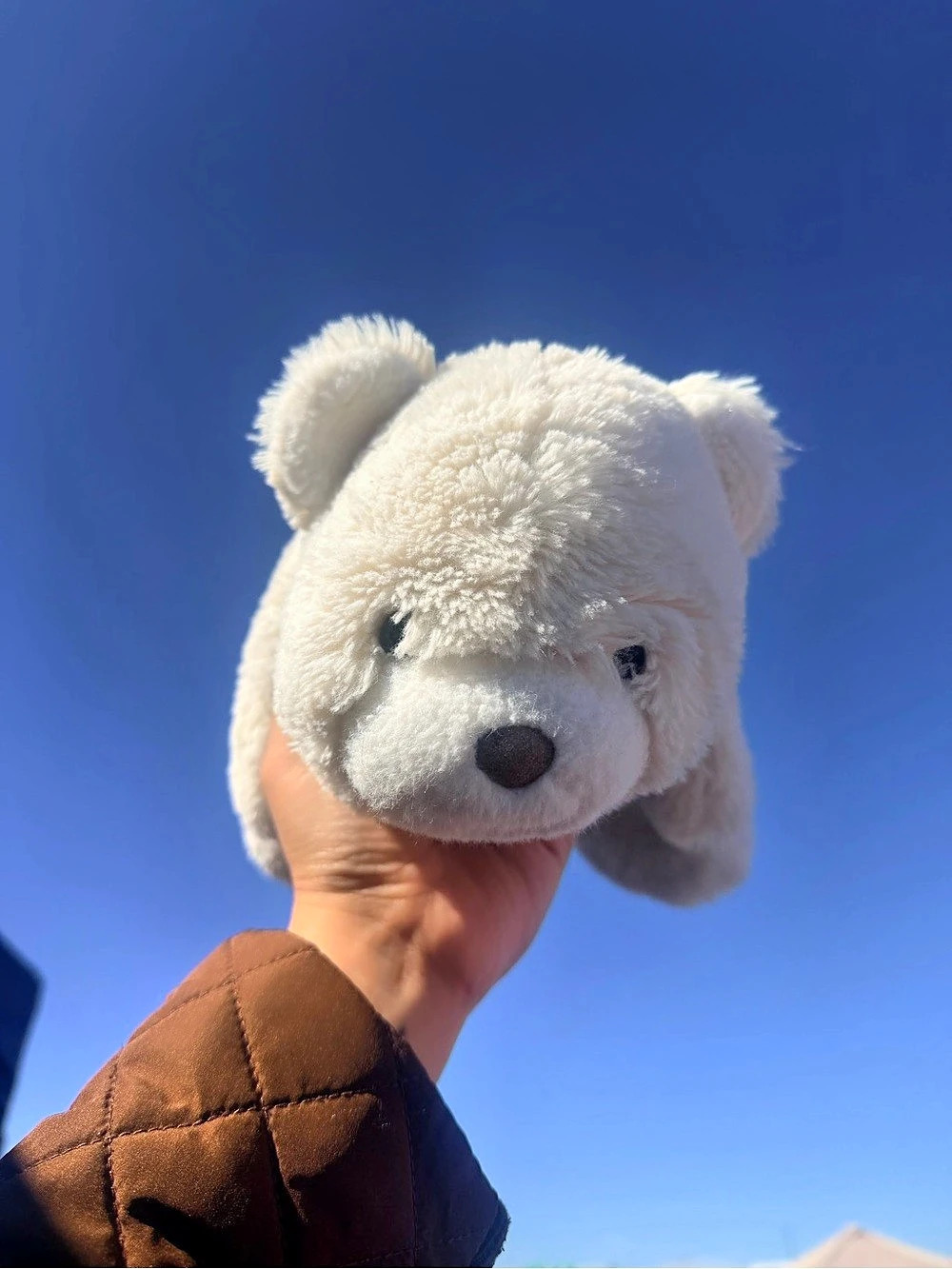 GUND Plush White Bear Like New